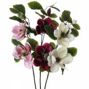 Magnolie-Einstieler 2 Blüten